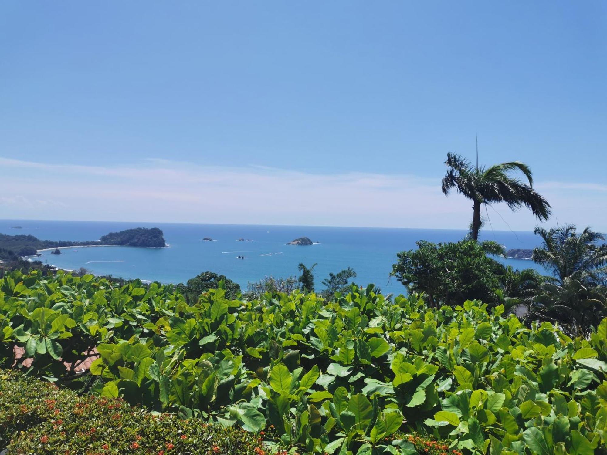Hotel La Mariposa Manuel Antonio Dış mekan fotoğraf